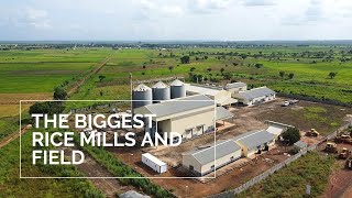 The Biggest Rice Mills and Rice Field in Southeast Nigeria.