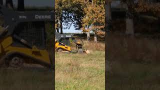 Gorgeous Day for Grinding #mountainpatriothomestead #stumpgrinding #skidsteer