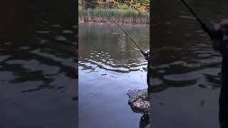 Alex’s first Brown Trout