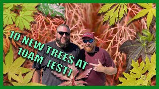 Super Duper 10@10 for October 22nd w/ Tim and Matt! HAVE YOU SEEN THESE TREES YET?!