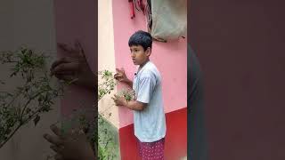 টমেটো চোর🤣🤣#youtubeshorts #viral #funny