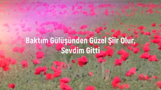 Cemal Süreya - Baktım Gülüşünden Güzel Şiir Olur Sevdim Gitti...