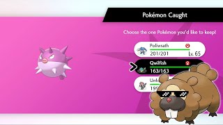 pink fishi to get ready for Legends Arceus