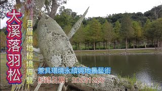 大溪月眉濕地落羽松搶先看,兼具環境永續與地景藝術的好所在-20231216