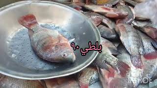 اسعار الاسماك🐬 قبل شم النسيم وفي  شم النسيم البلطي والبوري والمكاريل والجمبري 🐠وكل عام وانتم بخير 🌹