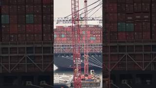 World biggest Container Ship cargo loading operation #shorts