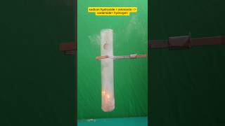 sodium with ammonia | preparation of sodamide #exothermic #experiment #chemistry #12thclass #sodium