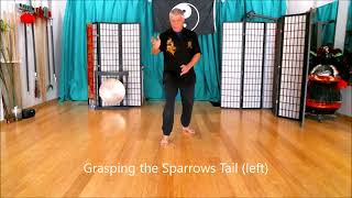 Small Frame Tai Chi Form