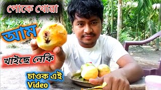 Eating Mango 🥭 With Salt || Eating Mango Video