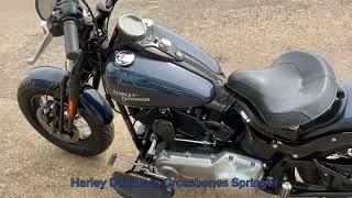 Harley Davidson Crossbones Springer