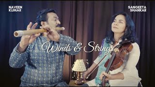 Winds & Strings | Flute and Violin Duet