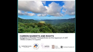 Carbon Markets & Rights: Indigenous Peoples' Perspectives on Approval of ART TREES Credits in Guyana