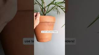 Simple & easy 😎 #aesthetic #plants #houseplants #indoorplants #lifestyle