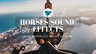 Helicopter Sound Effects Sounds Effects. FREE Copyright Sound Effects | soundME