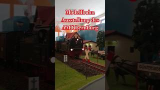 Modellbahn Ausstellung des AMC Bernburg 99 6102 Kiss