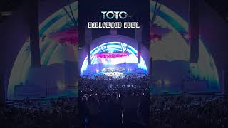 Toto at the Hollywood Bowl! #shorts #toto #stevelukather #hollywoodbowl #livemusic #davidpaich