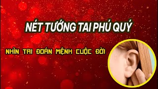 NÉT TƯỚNG CỦA ĐÔI TAI PHÚ QUÝ