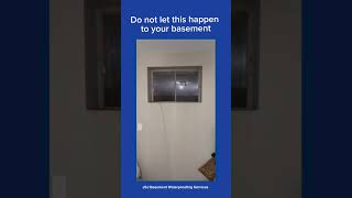 Do not let this happen to your basement