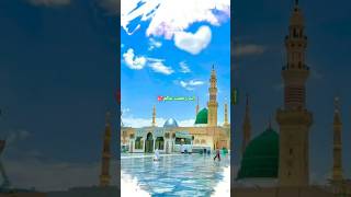 اے رحمت عالم تیرے سوا دکھیوں کا مسیحا کوئی نہیں | new heart touching naat #naat #islamicstatus