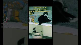 Cat plays with smart trash can