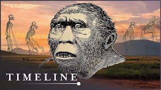 The Discovery Of The Earliest Human Ancestor | First Human | Timeline