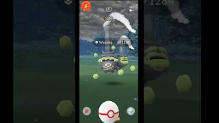 🧚‍♀️Fairy/Poison😈 Type Pokémon-Weezing Raid..#raid #weezing #pokemongo #shorts #pokemon