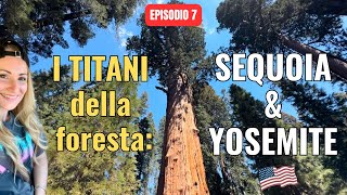 🌲SEQUOIA e YOSEMITE🏔️: Giganti della Natura - Road Trip USA Ep. 7