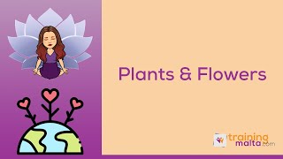 Plants & Flowers