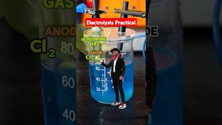 Electrolysis Practical #gcsescience