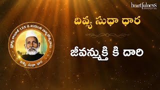 Divya Sudha Dhara | జీవన్ముక్తి కి దారి | Heartfulness Telugu | 16-10-2024