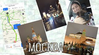 В семье ПОПОЛНЕНИЕ ! Предновогодняя Москва.