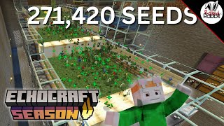 How to Win a Seed War!!! EchoCraft Season 5.