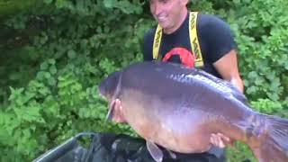 Les Teillatts Bare fish 83.08 Sept 2017