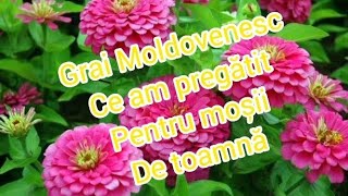 Grai Moldovenesc ( ce am făcut mâncare pentru moșii de toamnă)