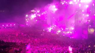 Steve Aoki Tomorrowland 2015 4K