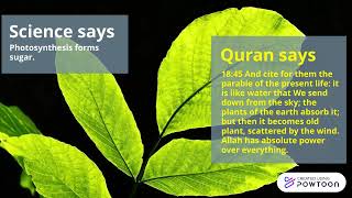 Photosynthesis In Quran.