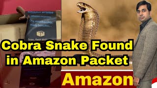 Amazon Package - Bengaluru Techie Finds Cobra Snake Inside Delivered Box | NHRC Notice | Ecommerce