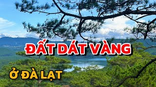 Đất Đà Lạt| 50 tỷ mua hơn 2hecta phường 3 Đà Lạt làm Resort liệu có đáng?