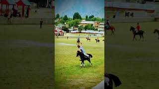 Shahzad Ahmad Shaji Powerful shot| Polo ground Chitral #horse #chitralpolo #polomatch