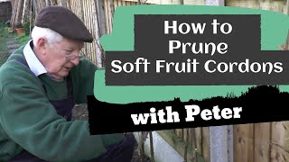 How to Prune Soft Fruit Cordons | Garden Ideas | Peter Seabrook