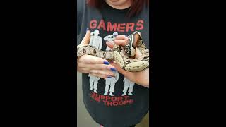 REPTICON ATLANTA!!! OCTOBER 2019!!! SNAKES!! AMPHIBIANS!! LIZARDS AND MORE!!!