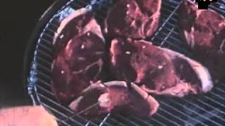 The Loop  Cloned Beef Videos as20080121 loop flv