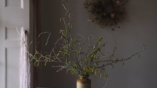 Arranging Catkins