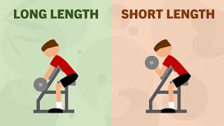 Biceps Training at Long vs Short Lengths