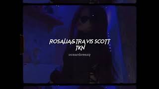 rosalia,travis scott-tkn (sped up+reverb)