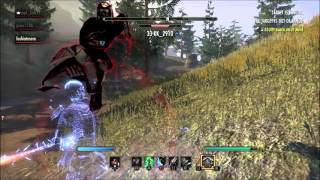 The Elder Scrolls Online PvP Stamina  Sorcerer