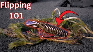 I NEVER Go Bass Fishing In Grass Without THIS Bait!