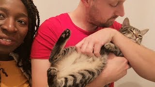 Vlog Couple // mon homme préfère le chat à moi // mode, lifestyle, famille, aventure