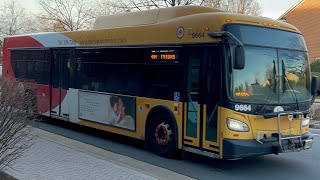 Retired Fairfax connector 2011 new flyer Xcelsior XD40 #9664 route 494 Tyson’s via Spring Hill metro