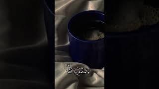 و استغفر الله